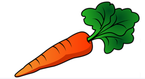 carrot