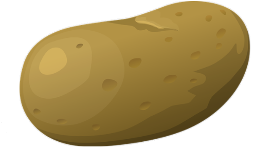 potato