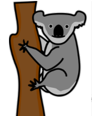 koala