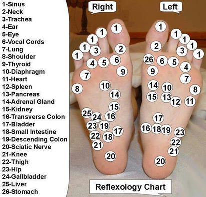 Adult foot massage