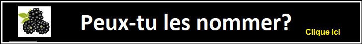 Peux-tu nommer ces fruits?