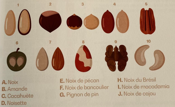 Identifiez les fruits secs